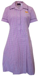 Wesley Dress - Child