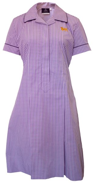 Wesley Dress - Adult