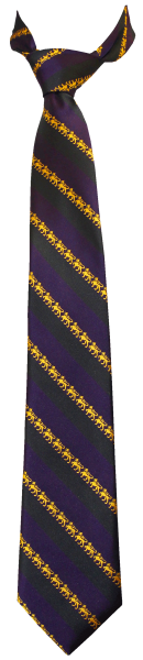 Wesley Senior Tie 137cm