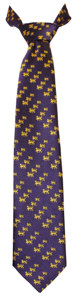 Wesley Middle School Tie