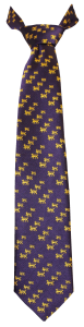 Wesley Middle School Tie