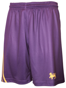 Wesley Basketball Shorts