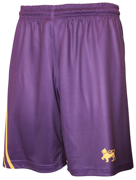 Wesley Basketball Shorts