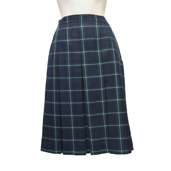 Winter Skirt Style 3042