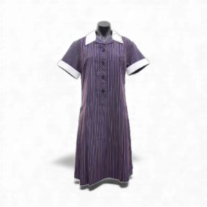 Our Lady of Mercy Dress