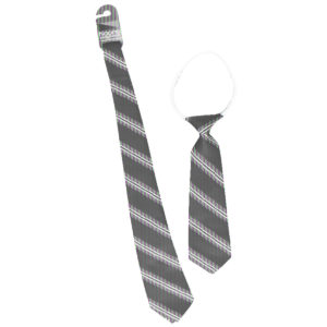 Alphington GS Tie