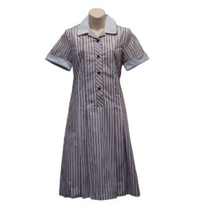 Haileybury Summer Dress Child