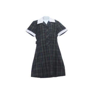 Penleigh Dress Junior Size NEW