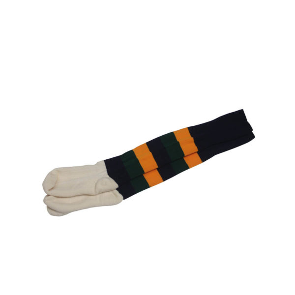 Westbourne Football Sock