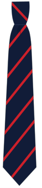 Navy,Cardinal Tie Yr 12