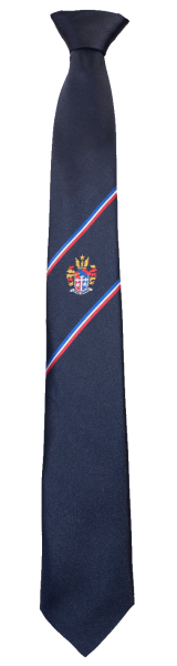 Brighton Gram Year 11 - Year 12 Tie