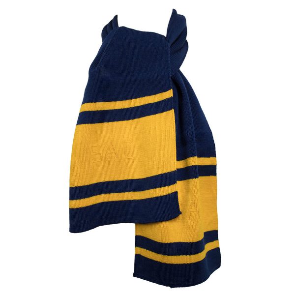 St Aloysius Scarf