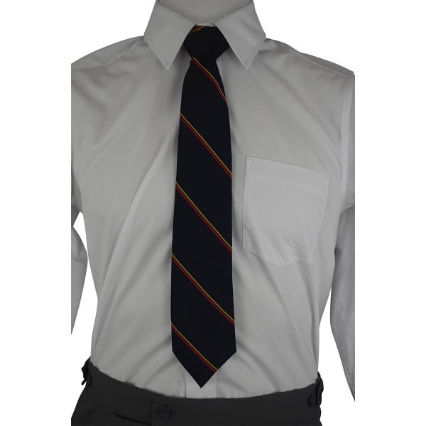 N W-Gold,Red Stripe Tie - DNO