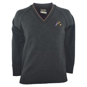 Phoneix College Pullover Small