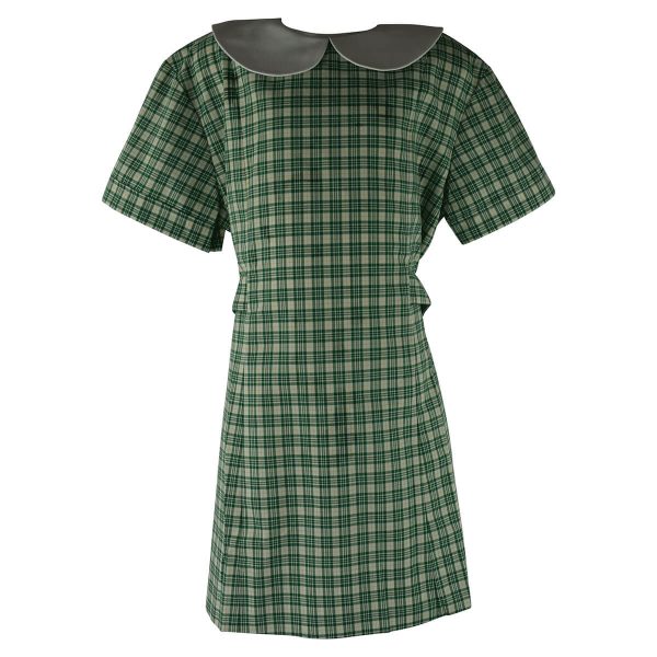 Covenant College Junior Dress | Covenant College | Noone