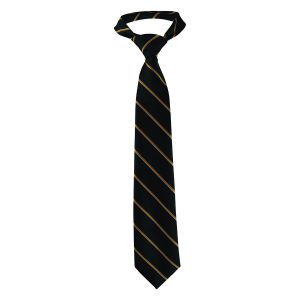 Spbg W-DKGold,White Stripe Tie