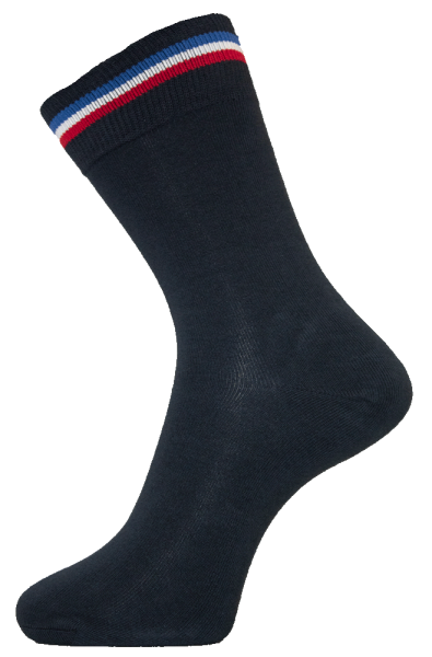 Brighton GS Academic Sock P-10 2 Pack