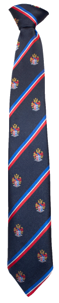 Brighton GS Year 7-10 Tie