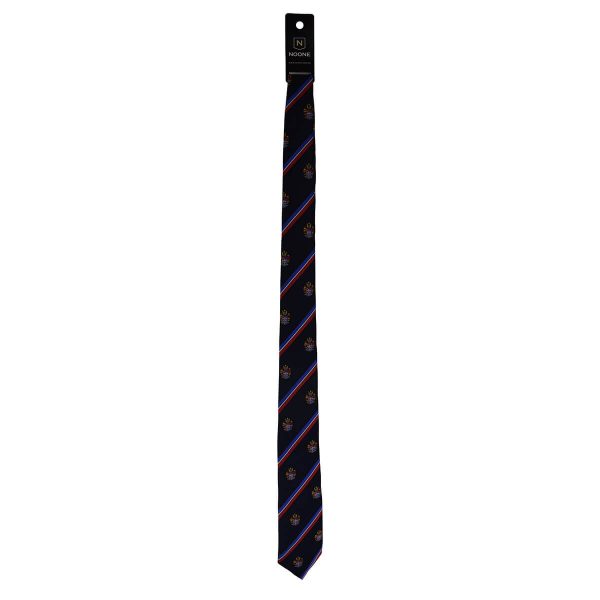 Brighton GS Year 7-10 Tie