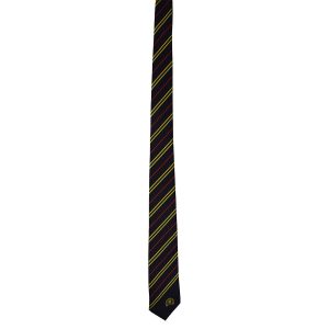 Westbourne Molland House Tie