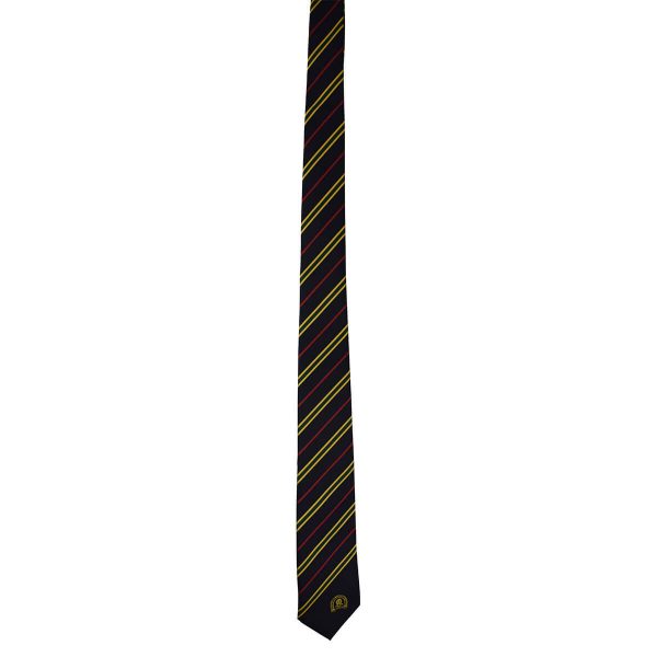 Westbourne Molland House Tie