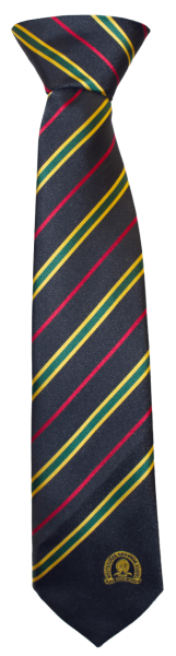 Westbourne Molland House Tie