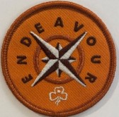 Bronze Endeavour (Cloth)