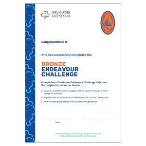Bronze Endeavour Certificate