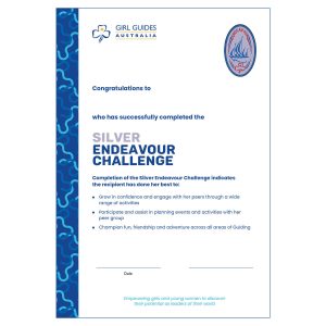 Silver Endeavour Certificate