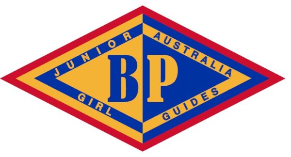 Junior BP Award (Cloth)