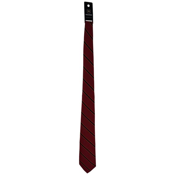 St Thomas Aquinas Tie