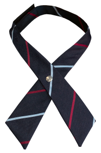 Christian Coll Geelong Tie Junior