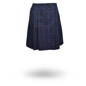 Navy Check Skirt 9046