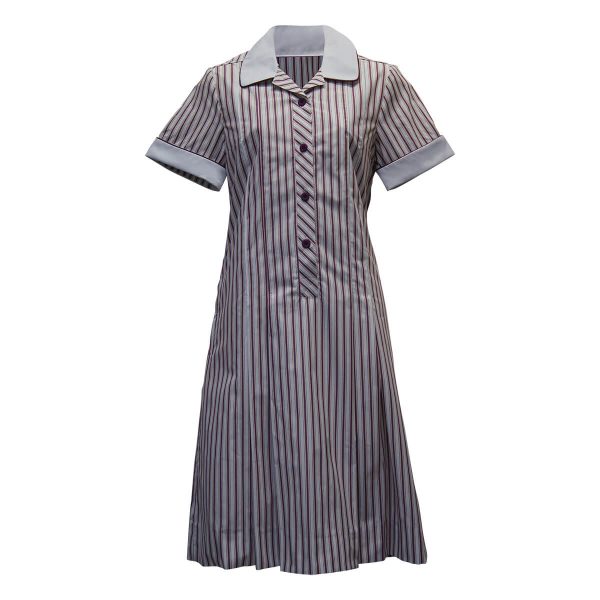 Haileybury Summer Dress Adults