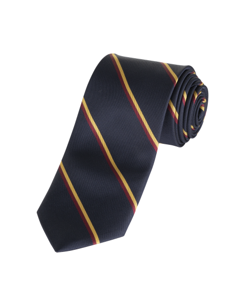 Viewbank Tie Navy,Cardinal,Gol