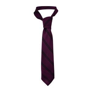 Haileybury Stripe Tie