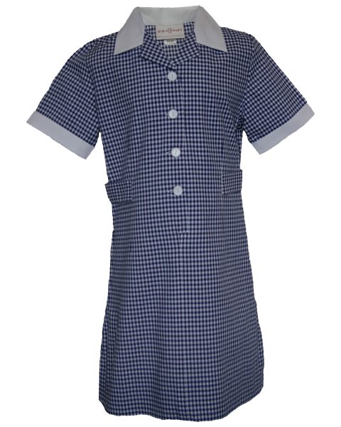 Gingham Dress