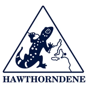 Hawthorndene PS SA IronOn Logo