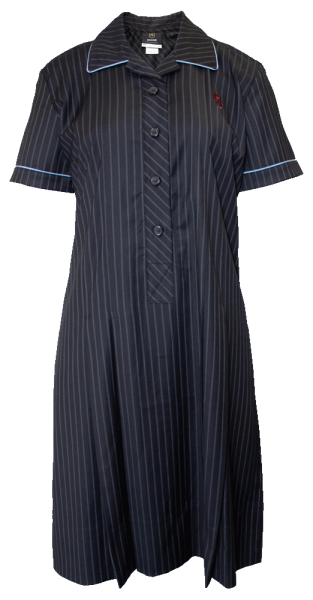 Notre Dame Dress Adult