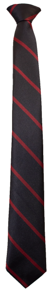 Tie Navy Cardinal