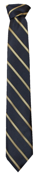 FCJ Benalla Tie 137cm