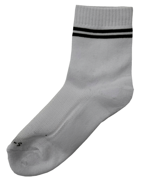 Ascham Sock  Academic/Sport
