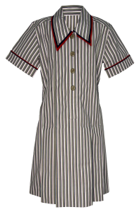 Ascham Dress YR 3-10 Adult