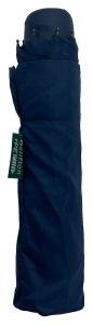 Ascham Umbrella