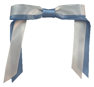 Roseville 2 Colour Pony Bow