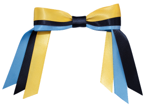 Immanuel 3C Sports Bow