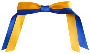 Loreto Kirribilli Sports Bow