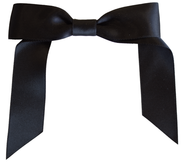 1 Colour Bow Elastic Pony
