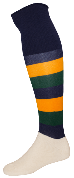 Westbourne Football Sock