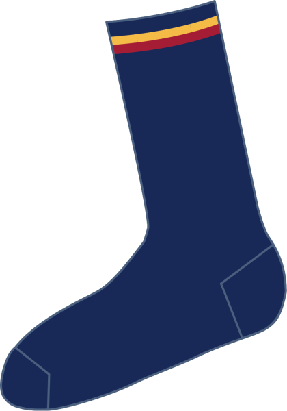 New Scotch College Socks 2Pk P-2